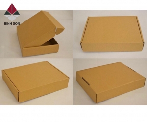 THÙNG CARTON CÁN MÀNG